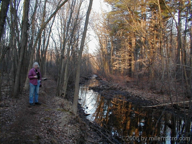 020226JillonSnkBkTrail Where the CRT is wide and smooth, the Snake Brook Trail is narrow and winding, one of the various types of trails within the greater CRT network.