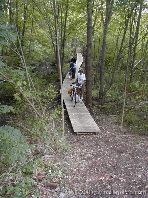 P9240007 The Snake Brook Trail begins at Route 27 on the Natick-Wayland town line, with a short boardwalk between the brook and a wetland. The boardwalk was an Eagle Scout project in 2000, with good support from Cochituate State Park.
