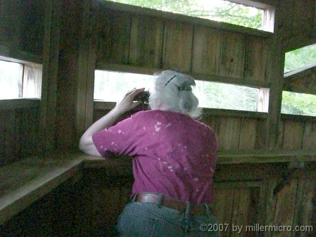 070601ColdRiverCamp_JillInBlind Jill's spotting deer. Nice. The week before, folks spotted many moose. We waited well into dusk, but didn't have that much luck.