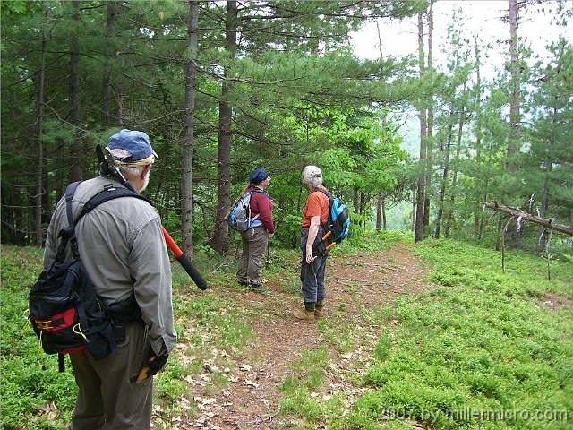 070602ColdRiverCamp_ClearingTrail_1024 We're off on a trail-clearing trip. Plants grow fast in the White Mountains, and trails need regular clearing of brush and blowdowns. The Chatham Trails Association has volunteered for that since 1921.