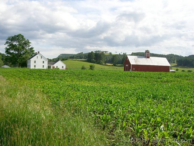 060627FarmInBradfordVT Vermont is full of farms with views. This one is along Route 5.
