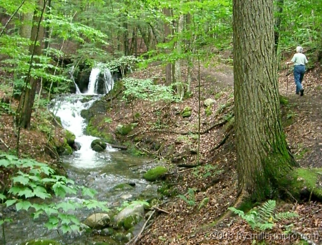 060630GlenFallsTrailAtLakeMorey Lake Morey has many inviting trails, including this short walk to the Small Falls on the Glen Falls Trail. This trail's tall trees and natural air conditioning keep it about twenty degrees cooler on a hot day.