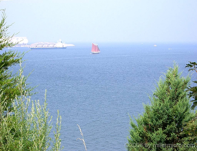 060727Roseway1 Up on one of Spectacle Island's two hills, a view of harbor traffic -- including a suit of tanbark (red) sails that looks very familiar to me.