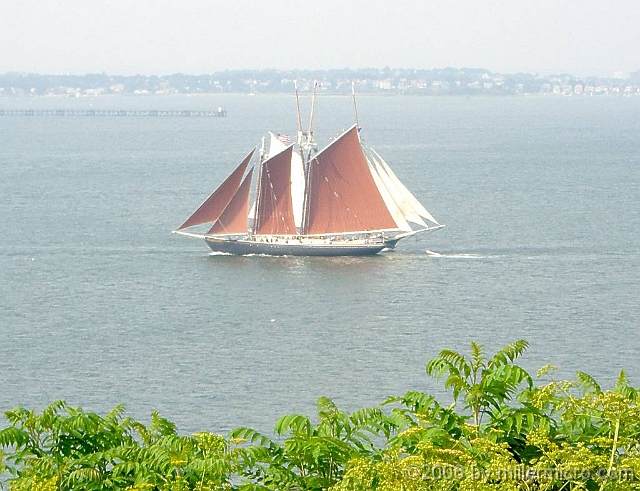 060727Roseway3 The Roseway shadows out that other schooner, the Liberty Clipper. I think that's appropriate; 
